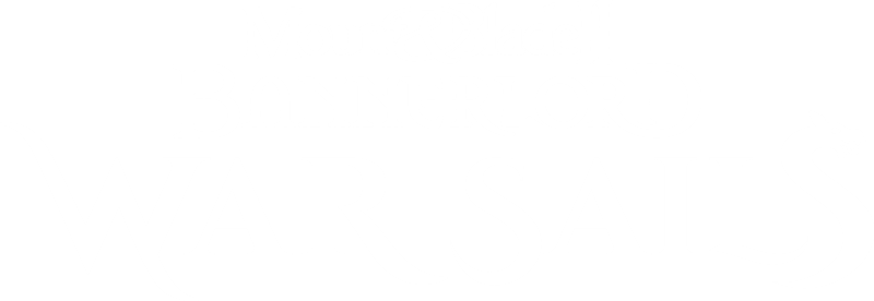 Mount & Blade II: Bannerlord — War Sails
